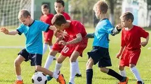 开云体育官网 资讯 124235 39m