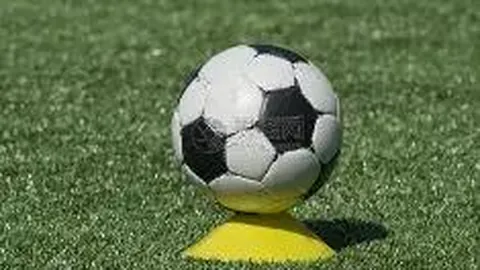 开云体育官网 资讯 125315 pvz